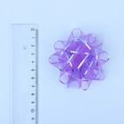 Бант-звезда №7,5 «Золотая полоса», цвета микс 133108