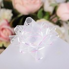 Бант-звезда №7,5 «Золотая полоса», цвета микс 133108