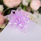 Бант-звезда №7,5 «Золотая полоса», цвета микс 133108