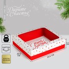 Коробка подарочная Happy New Year, 23.5 × 20.5 × 5.5 см Коробка подарочная Happy New Year, 23.5 × 20.5 × 5.5 см