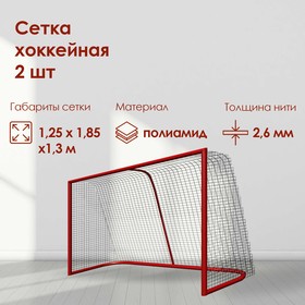 Сетка для хоккея, нить 2 мм, ячейка 40 х 40 мм, цвет белый, набор 2 шт. в Донецке