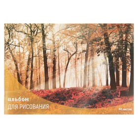 Album d/Fig A4 40L clip Calligrata "Forest in autumn"