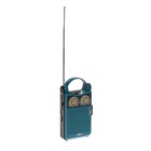 Радиоприемник Ritmix RPR-333, FM/AM, MP3, microSD, USB, 5В, 1200 мАч, синий Радиоприемник Ritmix RPR-333, FM/AM, MP3, microSD, USB, 5В, 1200 мАч, синий