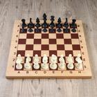 Шахматные фигуры, пластик, король h=9.5 см, пешка h=4.5 см - фото 683075