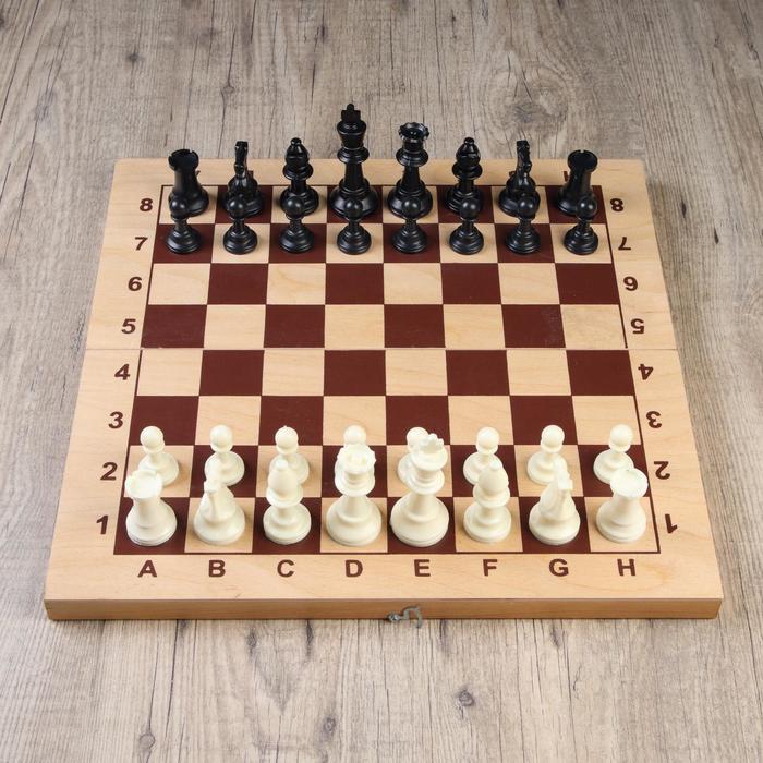 Шахматные фигуры, пластик, король h=9.5 см, пешка h=4.5 см - фото 683075