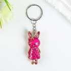 Keychain plastic under the metal "Bunny in a dress" MIX 4,7h1,8x1,2 cm