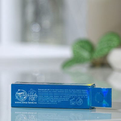 описание_картинки