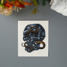 Татуировка на тело "Череп и змея"