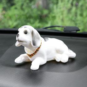 Собака на панель авто, качающая головой, большая, белый окрас в Донецке