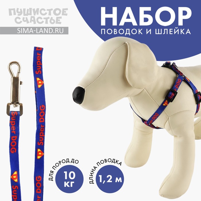 Комплект Super Dog: шлейка 28-47 см, поводок 120 см, макс вес 10 кг