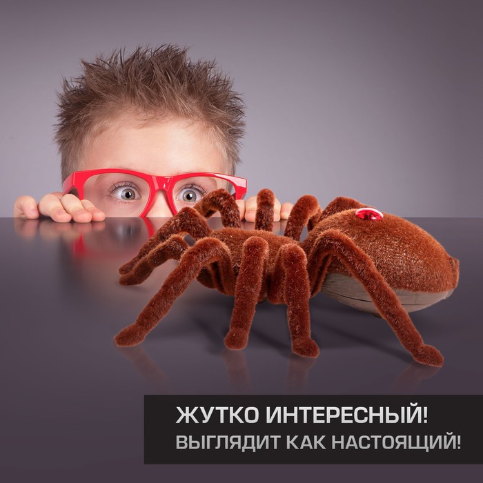 Паук Игрушка Купить Интернет Магазин