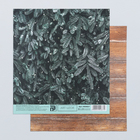 Бумага для скрапбукинга «Голубая ель», 15.5 × 17 см, 180 г/м - фото 6804151