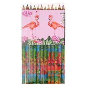 Карандаши цветные "Фламинго" в картонной коробке, 12 цветов