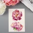 Татуировка на тело "Miami Tattoos Peony" Татуировка на тело "Miami Tattoos Peony"