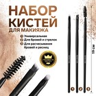 Набор кистей для макияжа «Premium Brush», 3 предмета, PVC-чехол, цвет чёрный - фото 7179825