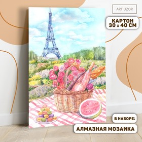 Картина по номерам с алмазной мозаикой без подрамника «Пикник в Париже», 30 х 40 см