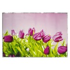 Наклейка на кафельную плитку "Фиолетовые тюльпаны" 60х90 см - фото 694573