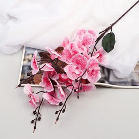 Цветы искусственные "Орхидея фаленопсис" 8*80 см, розовый
