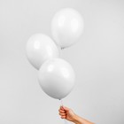 Шар латексный 14", пастель, набор 25 шт., цвет белый Шар латексный 14", пастель, набор 25 шт., цвет белый