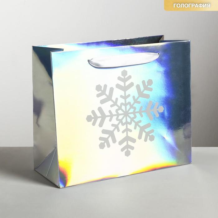 Пакет голографический горизонтальный «Снежинка», ML 27 × 23 × 11.5 см