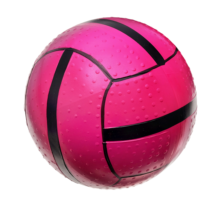 Мяч диаметр 125 мм лакированный в сетке, цвета МИКС
