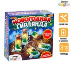 Набор для опытов «Новогодняя гирлянда» Набор для опытов «Новогодняя гирлянда»