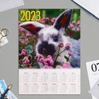 Календарь листовой "Символ года - 2023 - 2" А4 - фото 2098217