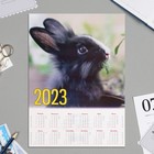 Календарь листовой "Символ года - 2023 - 7" А4 - фото 2098222