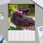 Календарь листовой "Символ года - 2023 - 8" А4 - фото 2098223