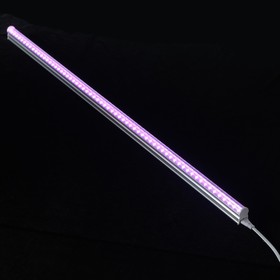 Фитосветильник светодиодный Luazon, 10 Вт, 600 мм, IP20, 220 В, мультиспектральный