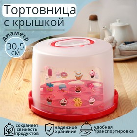 Dish for cake and cakes with the cover of 30.5×21.5 cm, MIX color
