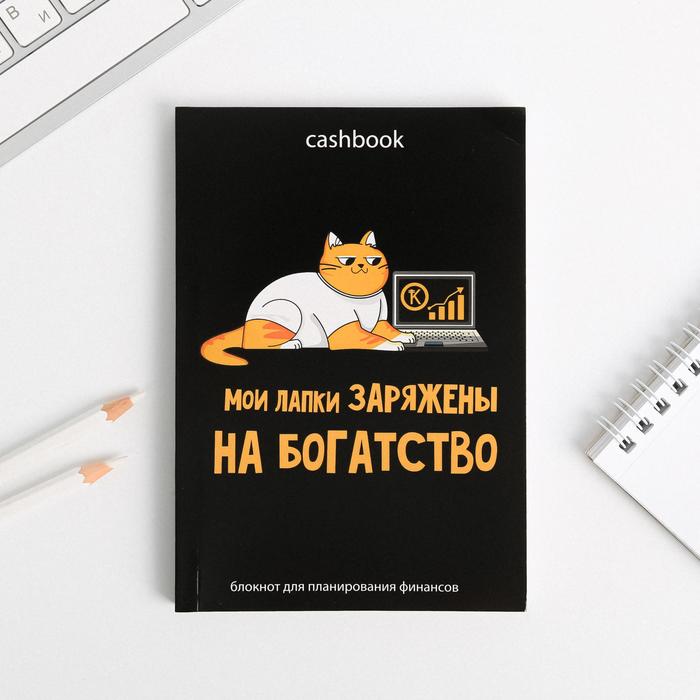 Умный блокнот CashBook А6, 68 листов «Кот трудоголик»