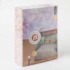 Постельное бельё 2сп Артпостель Премиум «Анжелика», 175х215см, 200х215см, 70х70см 2шт - фото 799010736