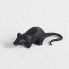 Funny Mouse, black