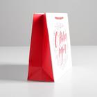 Пакет ламинированный горизонтальный «С Новым годом!», MS 23 × 18 × 8 см 4262361