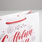 Пакет ламинированный горизонтальный «С Новым годом!», MS 23 × 18 × 8 см 4262361