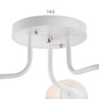 Люстра 1341001/3BR E27 15Вт белый-коричневый - фото 2723617