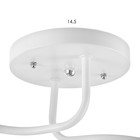 Люстра 1341002/2PK E27 15Вт белый-розовый - фото 2723641