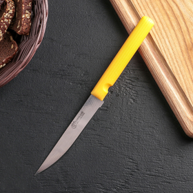 Нож «Эконом», лезвие 11,5 см, без выбора цвета