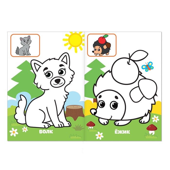 Раскраска по образцу «Жители леса», 12 стр. - фото 798290355