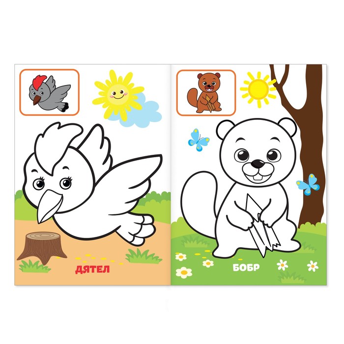 Раскраска по образцу «Жители леса», 12 стр. - фото 798290356