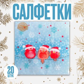 Салфетки бумажные «Новогодние птички», 33х33 см, набор 20 шт. в Донецке