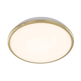 Светильник Луна, 22Вт LED, 1600Lm, 3000K, золото, IP54