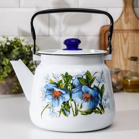 Чайник с кнопкой «Цветы синие», 3,5 л, индукция, цвет белый