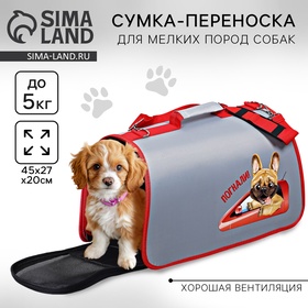 Сумка-переноска раскладная, каркасная «Погнали!» 45x27x20 см