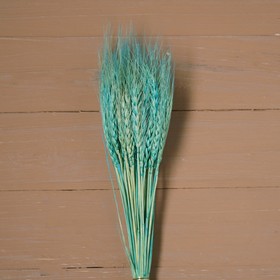 {{photo.Alt || photo.Description || 'Сухой колос пшеницы, набор 50 шт., цвет голубой'}}