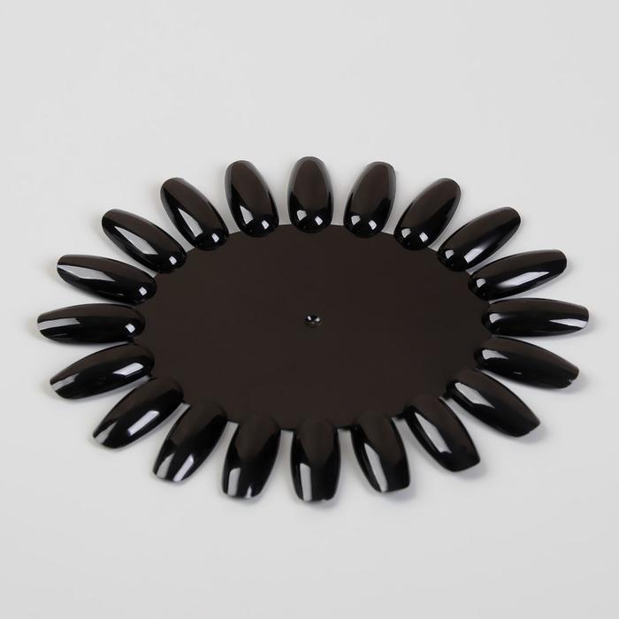 Палитра для лаков «Овальная», 20 ногтей, цвет чёрный