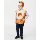 Карнавальный костюм "Ежик", плюш, накидка, головной убор, 3-7 лет 2206 Карнавальный костюм "Ежик", плюш, накидка, головной убор, 3-7 лет 2206
