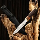 Нож охотничий "Рагнар", рукоять дерево, с золотым кольцом, лезвие 15 см - фото 297617