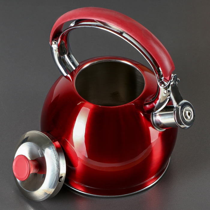 Большие чайники для воды. Чайник 3л со свистком а- 730g. Чайник металлический 3,0л Webber 0525. Чайник со свистком Доляна Snow, 3 л, индукция, цвет красный. Чайник со свистком besinhoff gh0603.